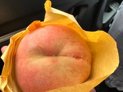 -老袁家蜜桃农场·阳山水蜜桃