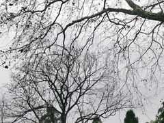 -莫干山风景区