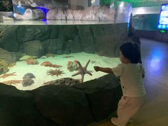 -福州罗源湾海洋世界旅游区