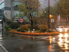 -飞马旅黎黄陂路文旅街区