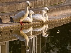 -苏州河梦清园环保主题公园