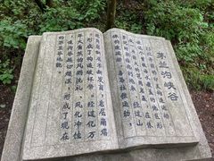 -茅兰沟国家森林公园