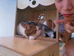 -瞄一喵猫咖(格力海岸店)