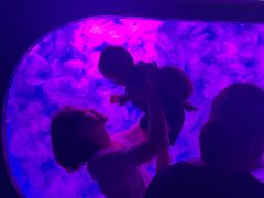 -宁波海洋世界-售票处