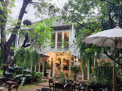 -Fern Forest Cafe