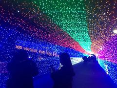 -云幽谷旅游区