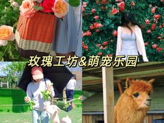-栖露营camping·天幕烧烤·团建拓展·采摘营地