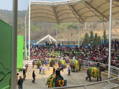 -大连森林动物园