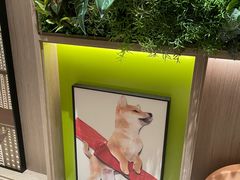 -成都武侯祠希尔顿惠庭酒店