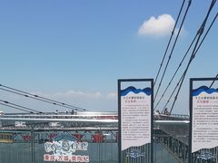 -梦幻奥陶纪景区
