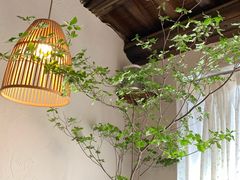 -竹子咖啡bamboo coffee