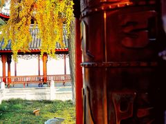-上海东林寺(金山区)