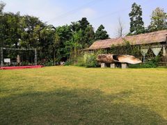 -大树头森林餐厅(番禺广场店)