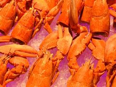 -武汉马哥孛罗酒店