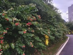 -生态苑农庄(十里画廊遇龙河店)