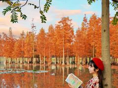 -白鹭湾湿地公园