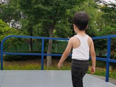 -映月湖中央公园