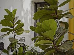 -ADO KAFE(大学城店)