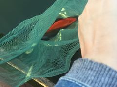 -军山湖云水间生态农业旅游景区