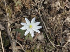 -终南山南五台景区