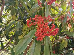 -南通博物苑-崇川人民公园