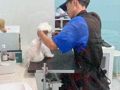 -PET WISH宠物愿望(BFC外滩金融中心店)