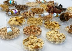 -采之汲·云南白药集团