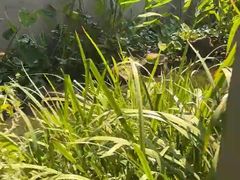 -中国湿地博物馆