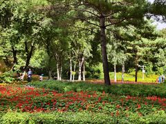 -黑龙江省森林植物园