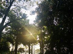 -铁山坪森林公园