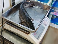 -活鱼馆(宜兴埠店)