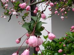 -荆川公园
