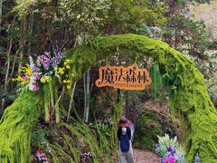 -龙湾潭国家森林公园