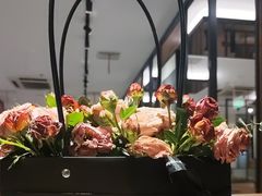 -Aqua Oasis 水天堂(石路天虹店)