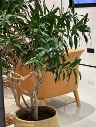 -常熟时代医疗美容