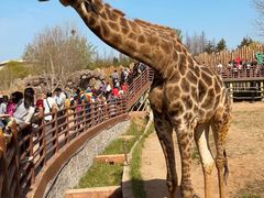 -济南野生动物世界