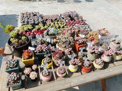 -禾气食店