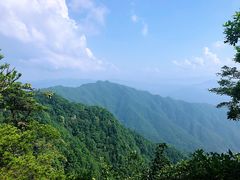 -王顺山国家森林公园