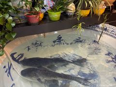 -南京金牛湖巨碗鱼头