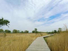 -野鸭湖国家湿地公园