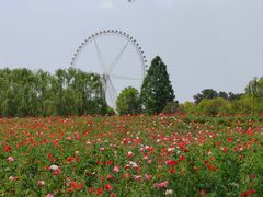 -祥源·阜阳生态乐园