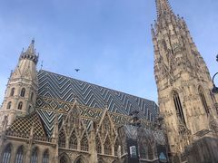 -斯蒂芬主教座堂(Stephansdom)