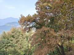 -广州市石门国家森林公园