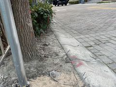 -浦东国际人才港