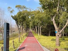 -柳鹭田园区
