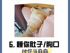 -纳吉亚猫专科动物诊疗中心(蒋宅口分院)