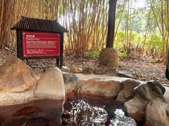 -森波拉火山温泉