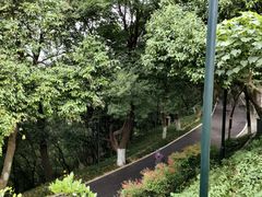 -龟山风景区-龟山电视塔