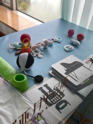 -新寰亚月子会所(金鸡湖凯宾店)