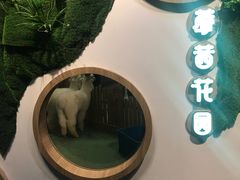 -藦茜花园宠物主题亲子互动体验馆(国顺东路店)